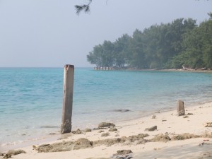 DSCF5043