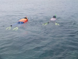 DSCF5074