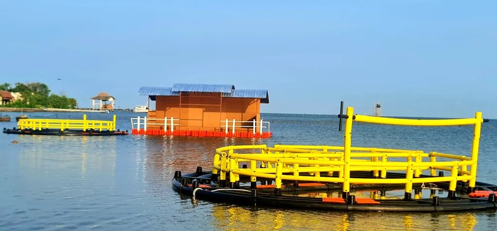 “Smart Dashboard System for Advancing Modern Fish Farming”